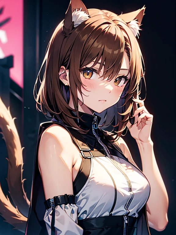 三毛Cat、Cat、Cat、Misaka Mikoto、girl, brown hair, Cat ear, cat tail, UHD, retina, masterpiece, anatomically correct, textured skin, high details, best quality,