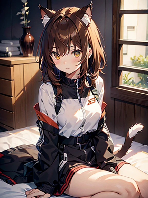 三毛Cat、Cat、Cat、Misaka Mikoto、girl, brown hair, Cat ear, cat tail, UHD, retina, masterpiece, anatomically correct, textured skin, high details, best quality,