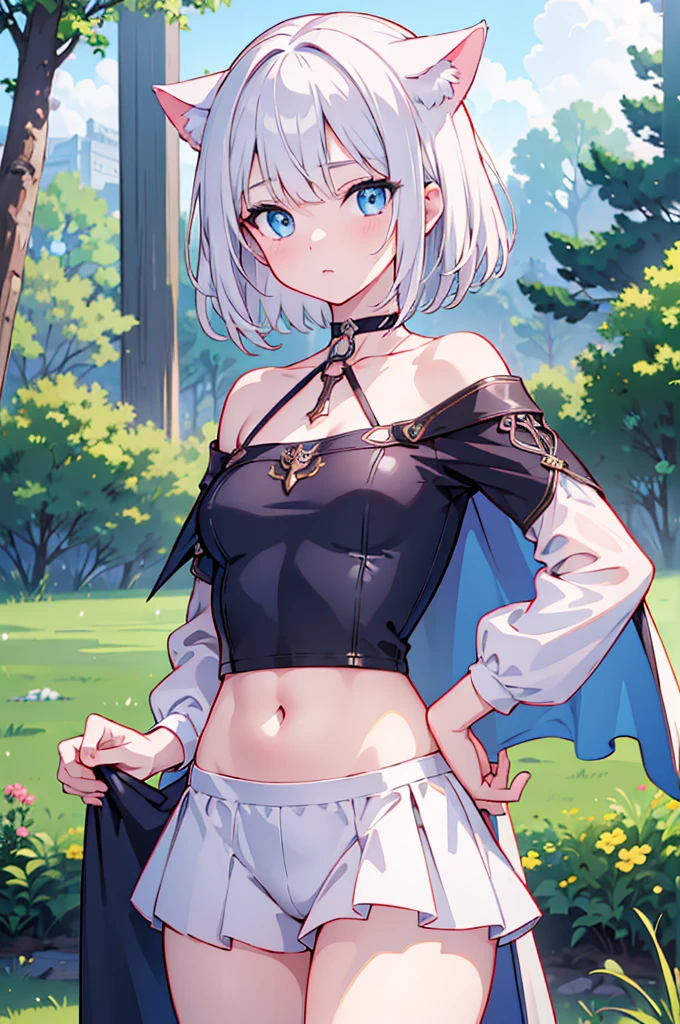(master piece:1.2), (best Quality:1.2), (ultra detailed:1.2), (highres:1.2), 4k, 8k, from front, cowboy body, look at viewer, girl, beautiful detailed eyes, short hair, White hair, (blue eyes1:1), small breasts, fantasy, medieval, cat ears, expressionless, Scout costume, crop top, simple choker, cape, (forest:1.1), indian style,