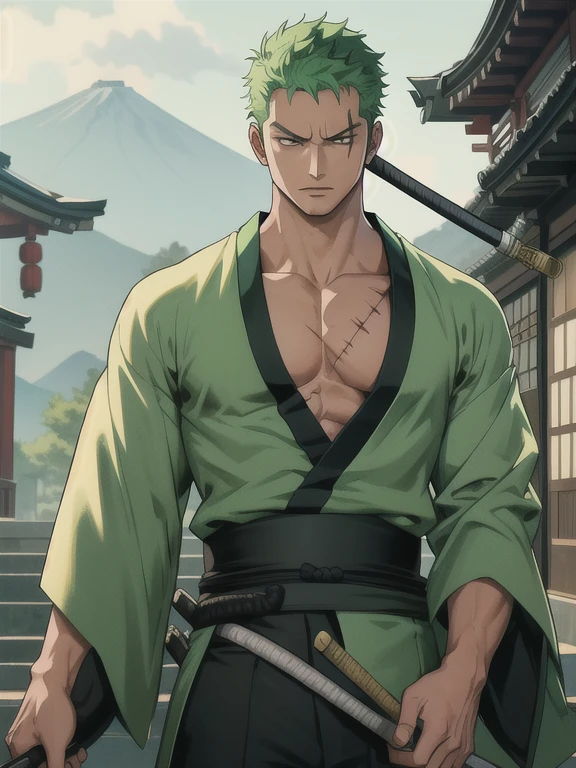 1boy,, masterpiece,best quality, roronoa zoro, muscular male, scar, scar across eye,japanese clothes, green kimono