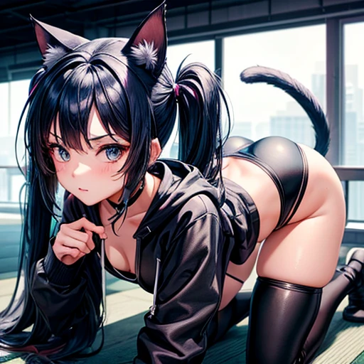 A girl with dark blue hair, cat ears and a tail, wearing a black bikini and racing pants body type Twin tails Female genitalia is visible On all fours Detailed depiction of female genitalia Flat Chest Wearing a hoodie Butt in detail
