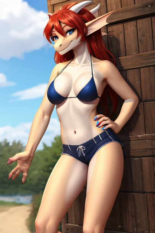 Dragon shorts bikini