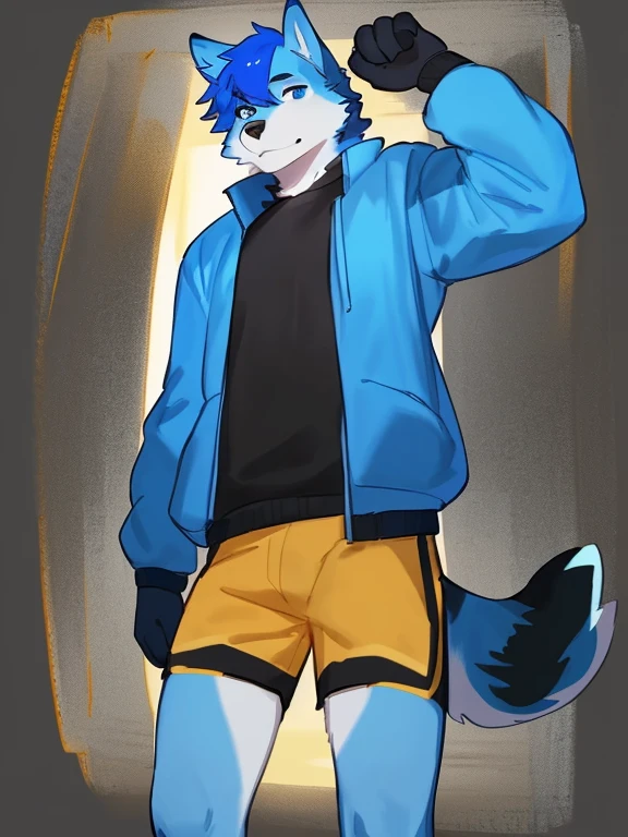 best qualtiy，hairy pubic，Ultra-fine fur，黑The eye，独奏，shaggy male，underage，Full Body Furry，Fluffy fur，Black color hair，White paws，Blue-white fur，Dark blue sweatshirt，Long black pants，grey ears，Gradient hair，multicolored hair，Black glasses，Fluffy tail，red striped，short detailed hair，Blunt bangs，hooding，Nudy，hyper cute face