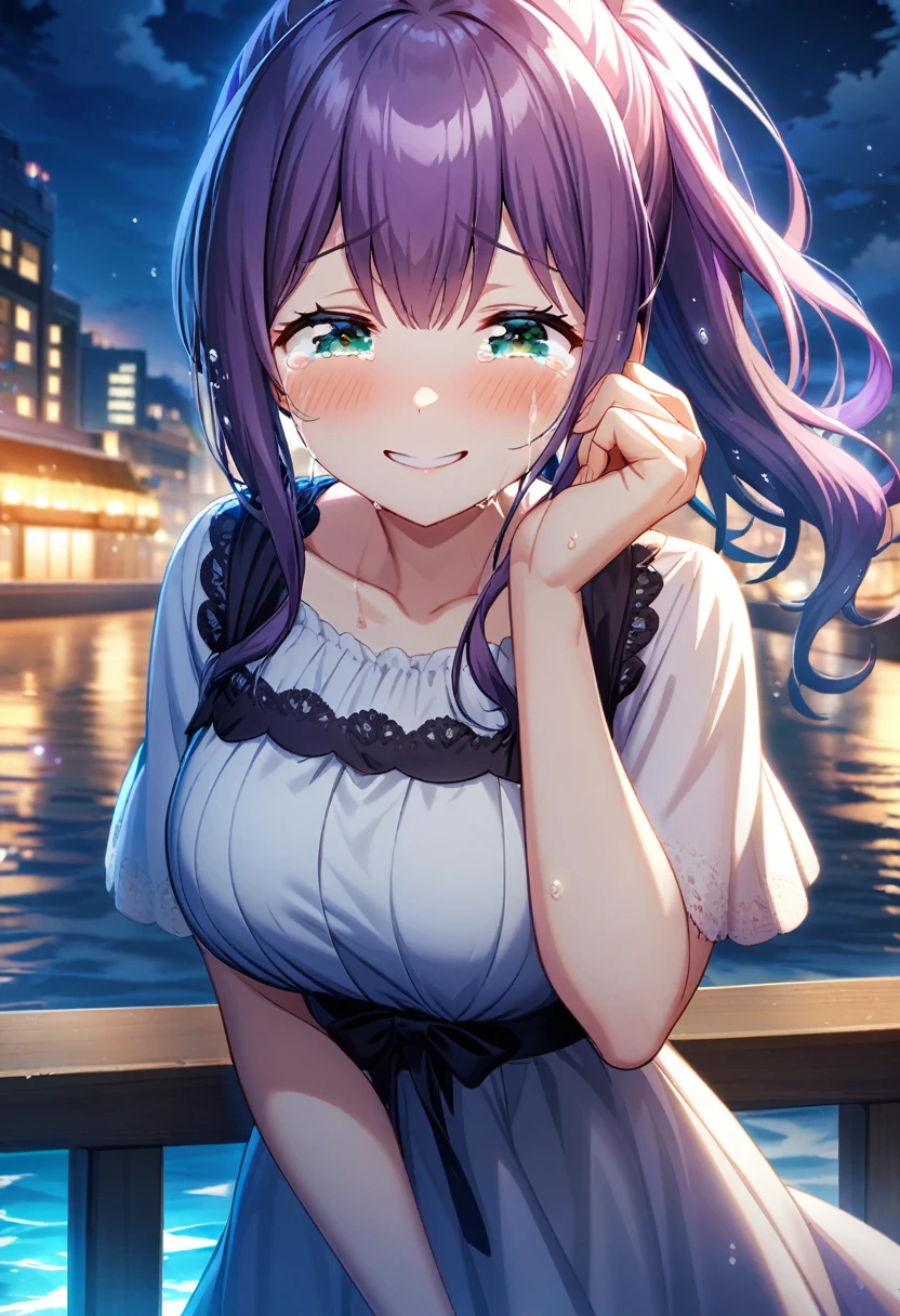 game cg,1girl,purple ponytail hair,green eyes,large breasts,((happy tears)),smile,((tears)),wiping tears ,night,water front,