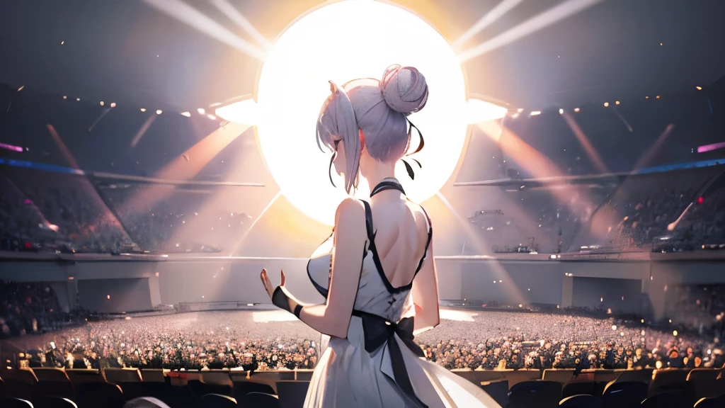 Pink silver hair, A very short shortcut, Hair Bun, (Backlit silhouette:1.2), (sun:1.2), Opera Stage, Panoramic Photos, White Background, minimum, (masterpiece), (highest quality, 8k, High resolution), Super detailed