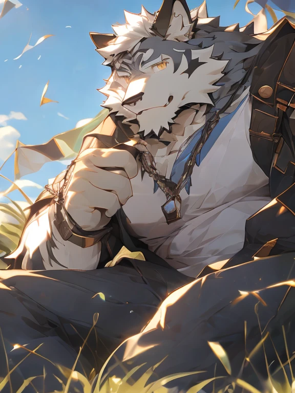 (masterpiece),(Very detailed),(best quality),hairy,,white hair,Golden pupils,(((Wolf))),((Wear casual clothing)),((Convex)),(Jump to camera 1.4),8K,((high quality)),Strong body,(White hair on the chest and abdomen),Black stripes on the body,裤裆下面有Convex起,Wear casual clothing,There are white hairs and black stripes all over the body