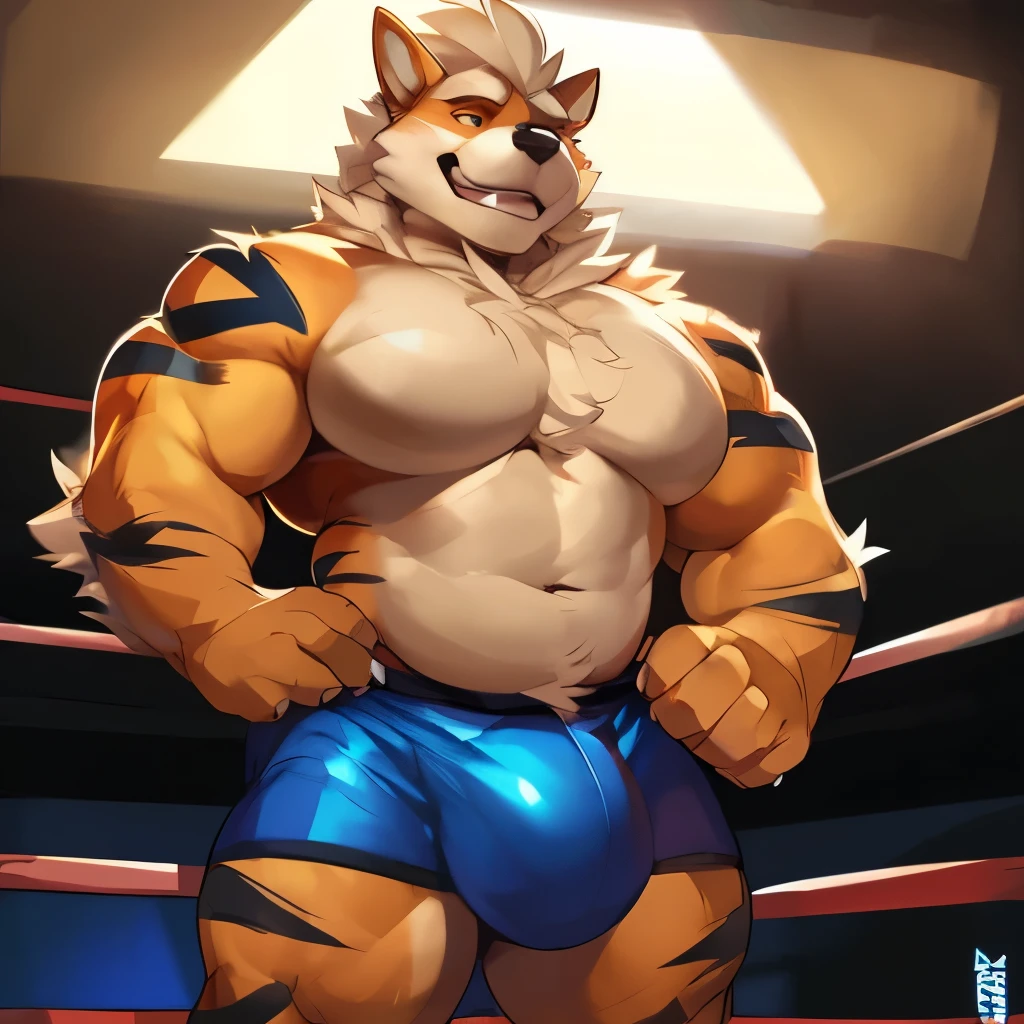 Solo, male, muscular, giant, buff, strong, massive biceps, massive pecs, Arcanine, wearing dark blue boxers, massive bulge, by darkgem, by mystikfox61, by glitter trap boy, wrestling ring