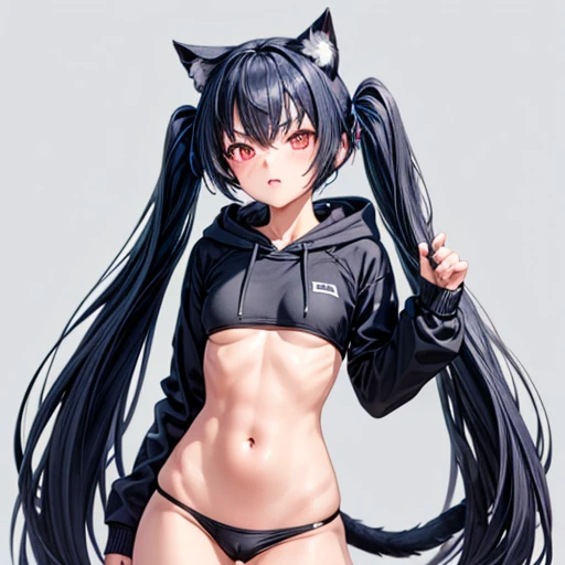 A girl with dark blue hair, cat ears and a tail, wearing a black micro bikini and racing pants body type Twin tails Female genitalia is visible Detailed depiction of female genitalia Flat Chest Wearing a hoodie Butt in detail He has a gun