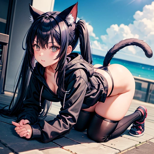 A girl with dark blue hair, cat ears and a tail, wearing a black bikini and racing pants　Loli body type　　Twin tails　Female genitalia is visible　On all fours　Detailed depiction of female genitalia　Flat Chest　Wearing a hoodie　Butt in detail　Holding a gun