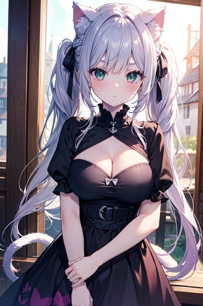 ((masterpiece)), ((best quality)), ((8K)), high resolution, 1girl, cat ears, sunlight, village, green eye, silver and purple hair, twintails, pale skin, braided bangs, furrowed brow, large breasts, wizard