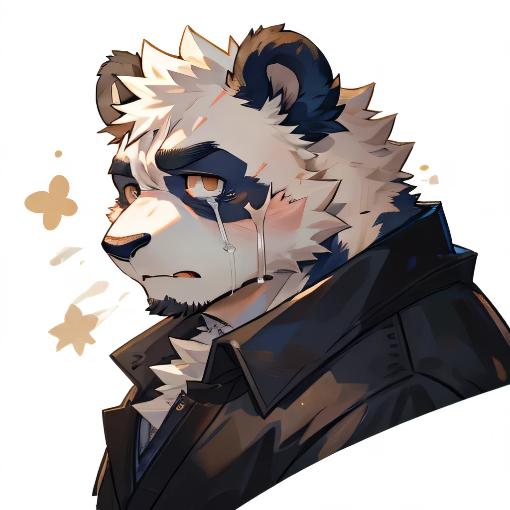 masterpiece,high quality,perfect anatomy,furry,anthro panda,male, niji5,brown pupils,bright eyes,exhausted,scar on the face,crying,detailed face,by kiyosan,close up face