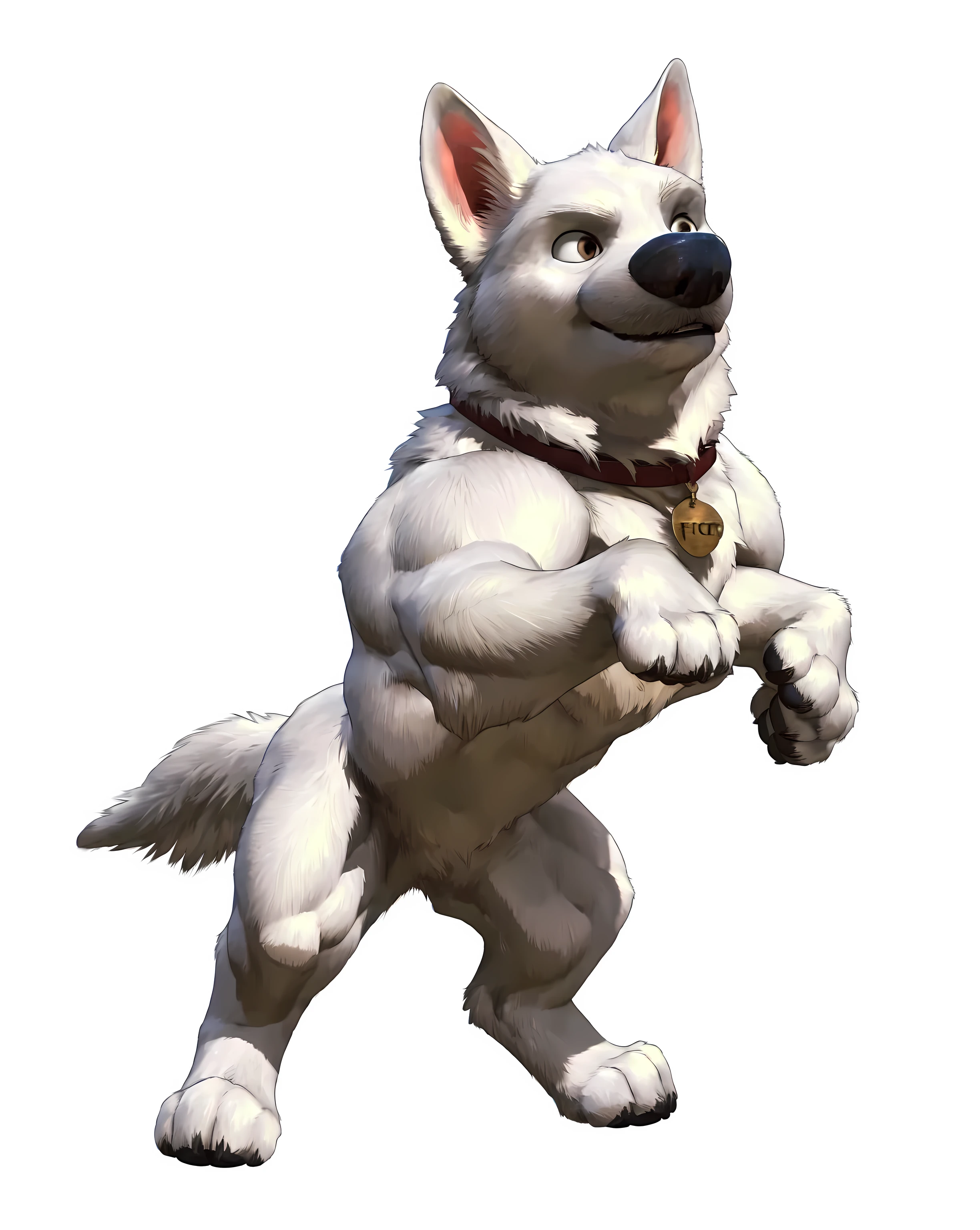 bolt the dog, adult, masculine, male, (quadruped, feral, feral dog):1.0, very muscular:1.5, muscles:1.5, strong chest, muscular shoulders, strong body, muscular neck, biceps, triceps, lats, muscular thighs, calves, vascular, veins, wide chest, taran fiddler style, virtyalfobo style, negger style, (no background, white background):1.3, cel shaded:1.2, cartoony shading, detailed eyes, high quality, high resolution, detailed, collar, full body, muscular forelegs, muscular hindlegs, white fur, standing on back legs:1.1, legs spread