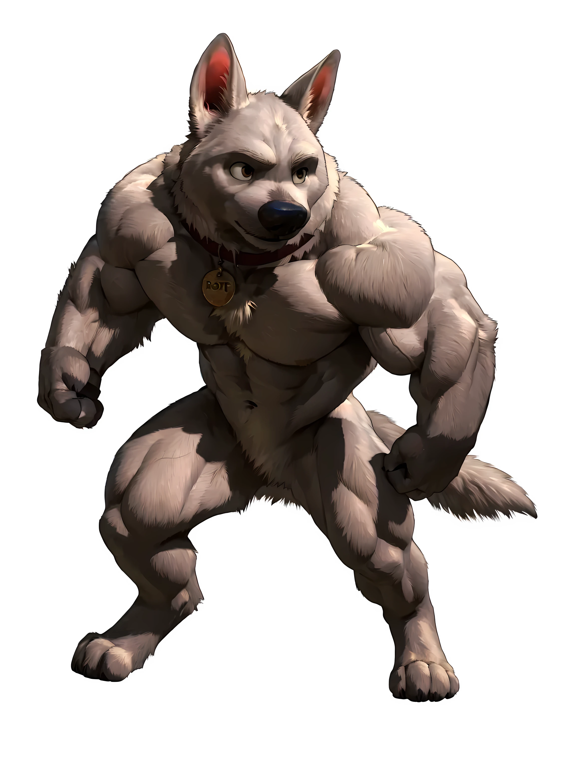 bolt the dog, adult, masculine, male, (quadruped, feral, feral dog):1.0, very muscular:1.5, muscles:1.5, strong chest, muscular shoulders, strong body, muscular neck, biceps, triceps, lats, muscular thighs, calves, vascular, veins, wide chest, taran fiddler style, virtyalfobo style, negger style, (no background, white background):1.3, cel shaded:1.2, cartoony shading, detailed eyes, high quality, high resolution, detailed, collar, full body, muscular forelegs, muscular hindlegs, white fur, standing on back legs:1.1, legs spread