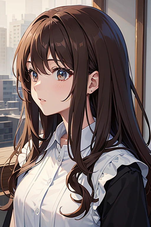 masterpiece, highest quality, High resolution，Anime Style、Brown Hair、Long Hair