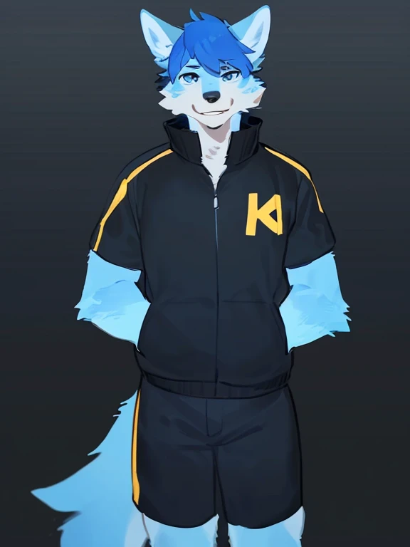 By bebebebebe, by lostgoose, by goonie-san, alone, man, wolf, blue and white fur, blue eyes, black and yellow shirt and jacket, shorts, standing, facing the viewer, ((blue hair messy with yellow and black,hairy anthro)),hair,pose,young,