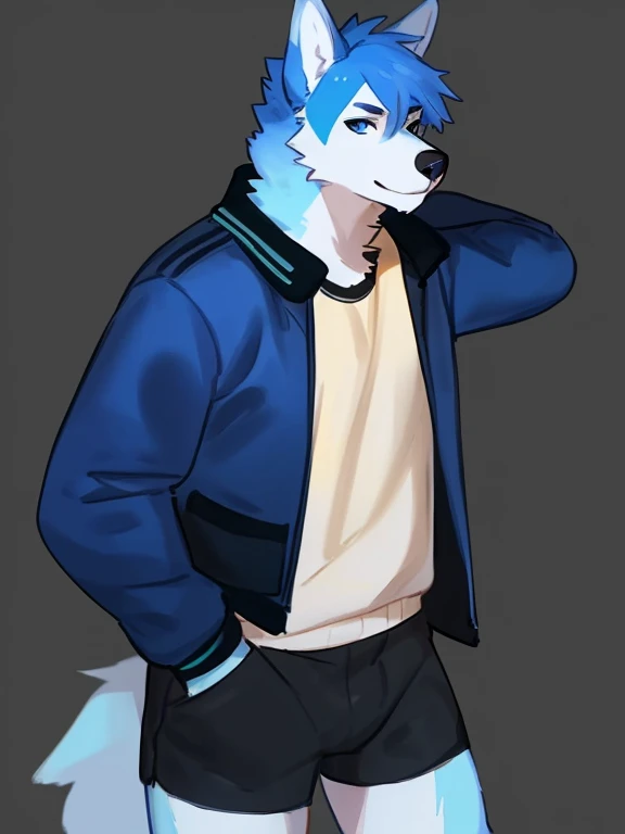 By bebebebebe, by lostgoose, by goonie-san, alone, man, wolf, blue and white fur, blue eyes, black and yellow shirt and jacket, shorts, standing, facing the viewer, ((blue hair messy with yellow and black,hairy anthro)),hair,pose,young:16,