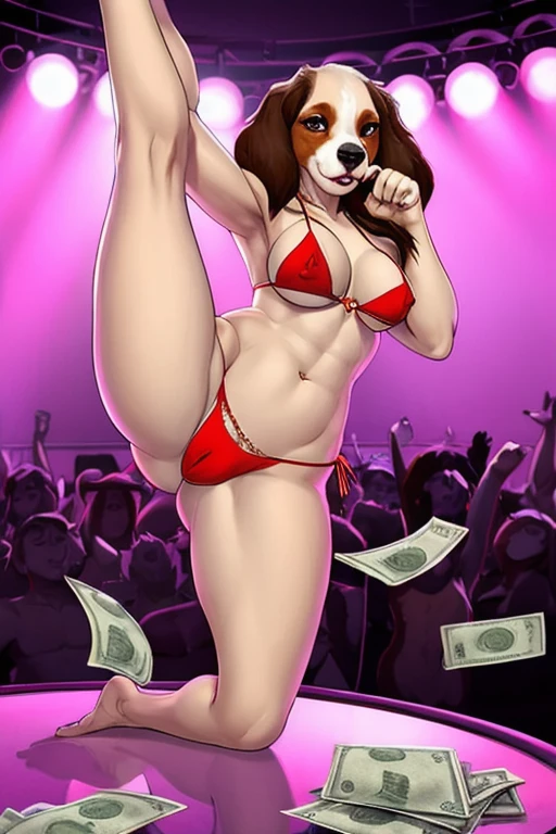  Cocker Spaniel stripper bikini dancing money