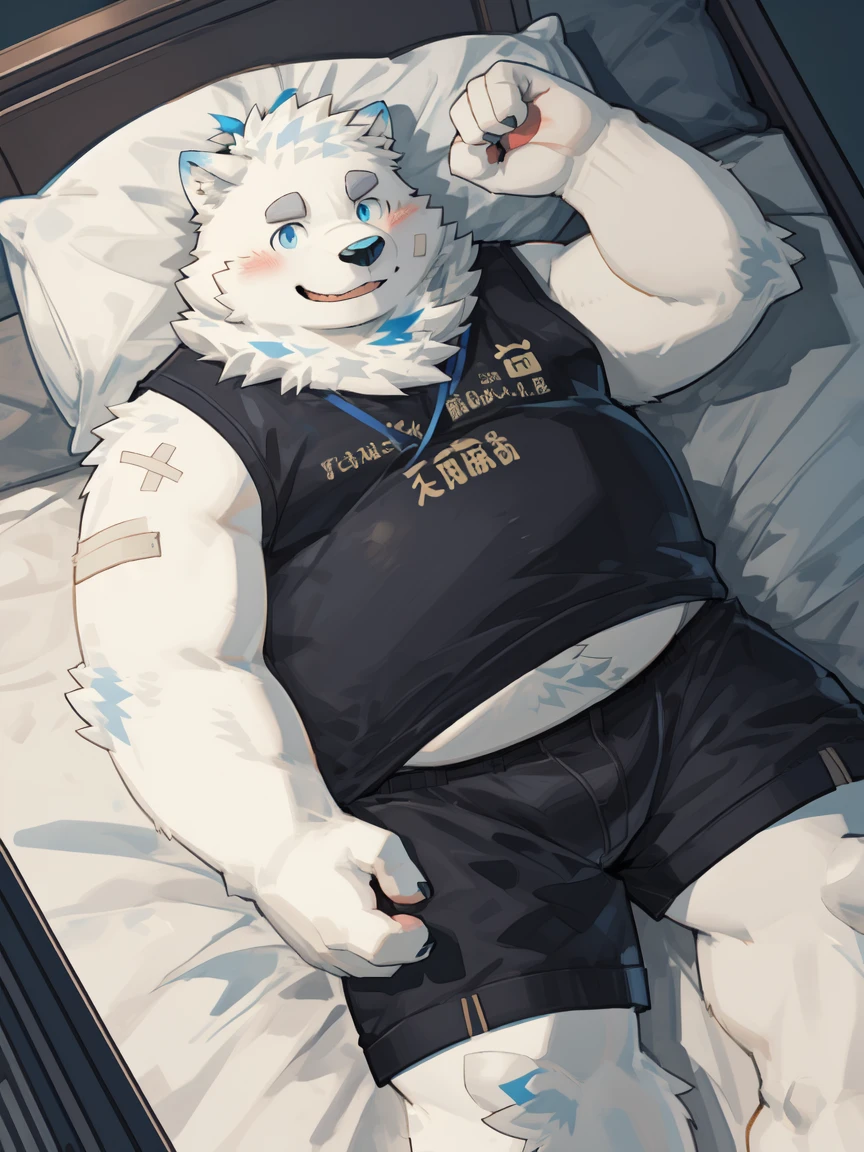 yohack, solo,canid, mammal,(chubby), ((Chubby)), white_body,furry, White fur, (blue eyes:1.2), band-aid, Handmade, Smile, blush, Solid,((overweight)), (lying on the bed, on the bed:1.2), in, High Angle View, ((From milkytiger1145)), ((by 96panda)) ,(High Detail), (high quality),(high resolution),belly,black tank top,blue shirt,black shorts,kind_smile