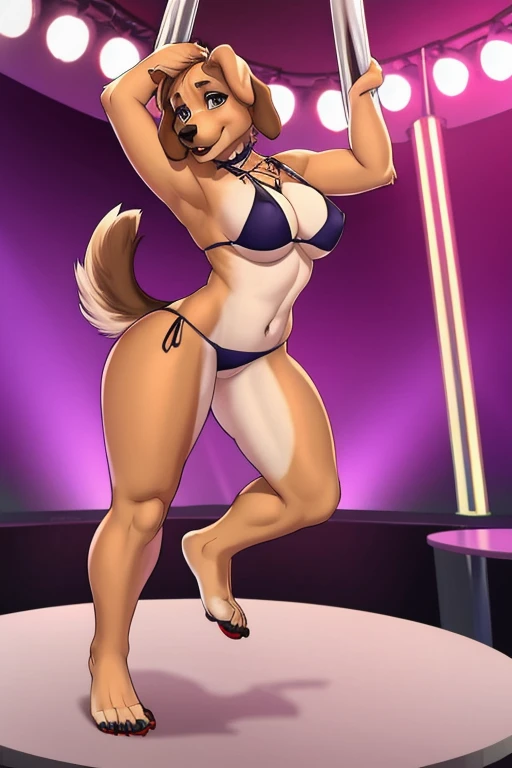 caramel dog stripper bikini dancing 