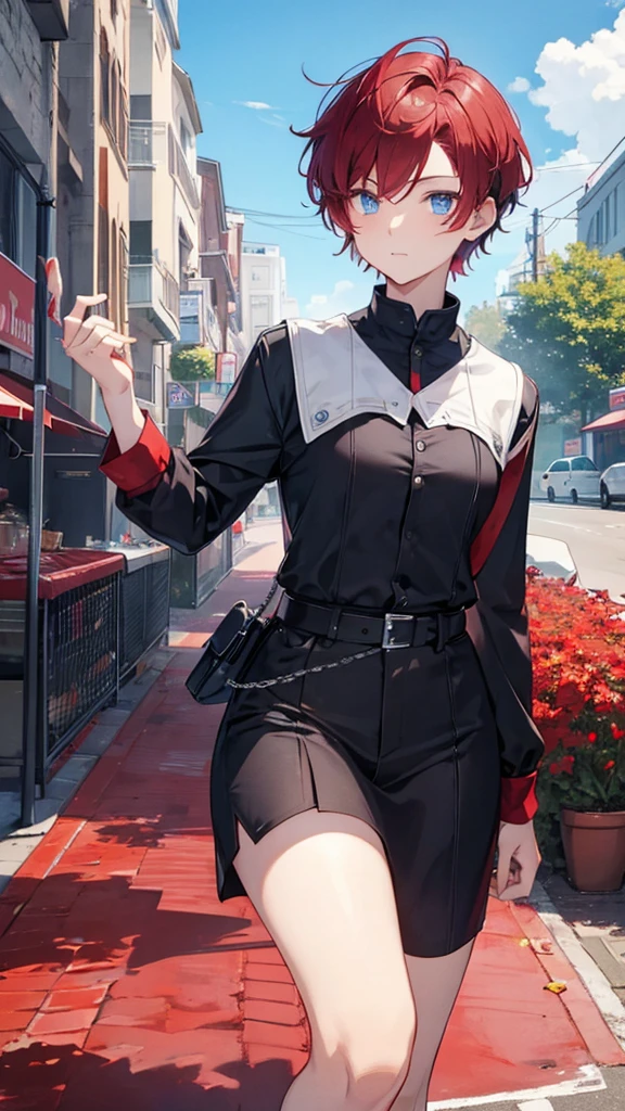 Highest quality Short hair male Red and blue eyes I don't have anything kind Private Server one person