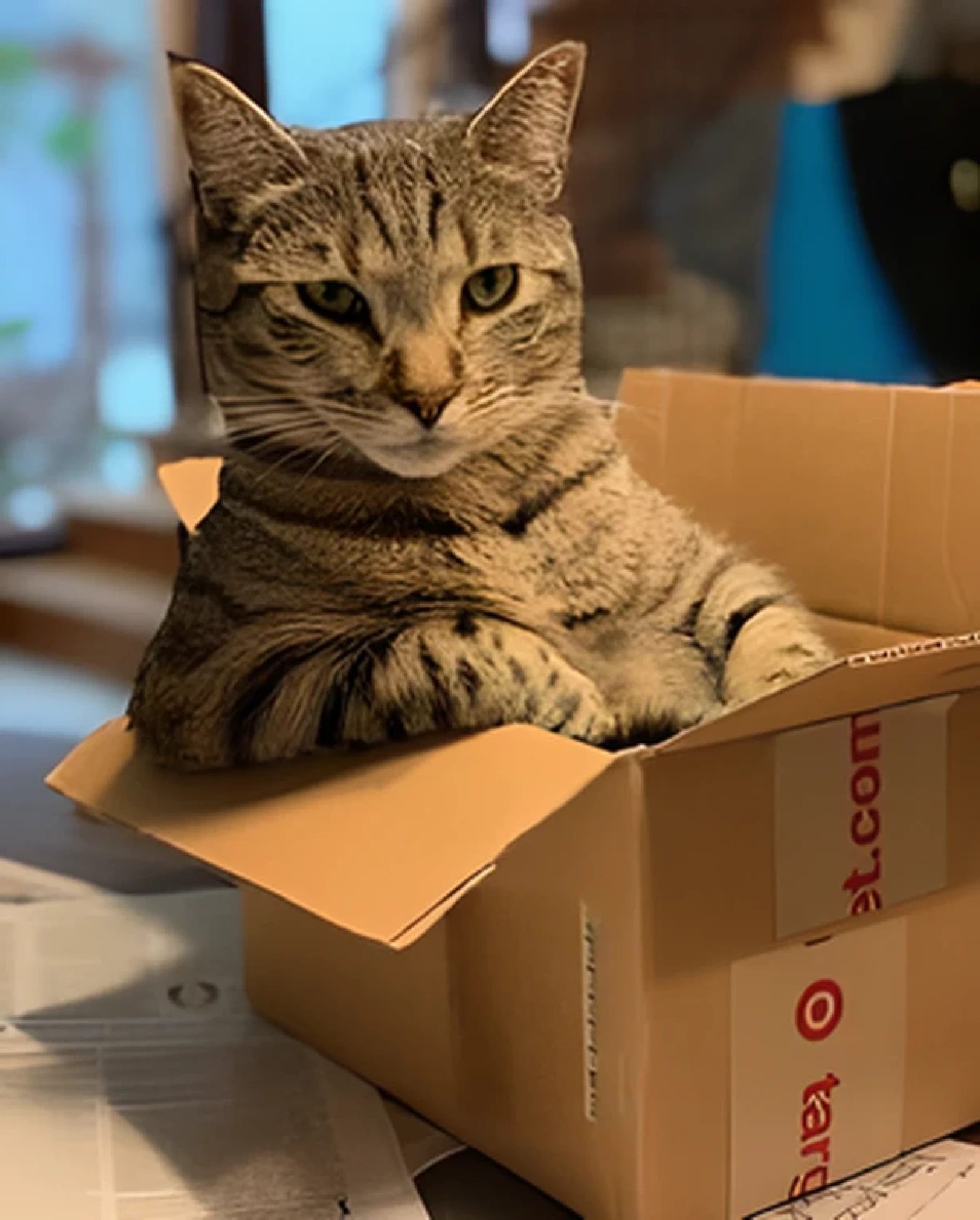 Carton color