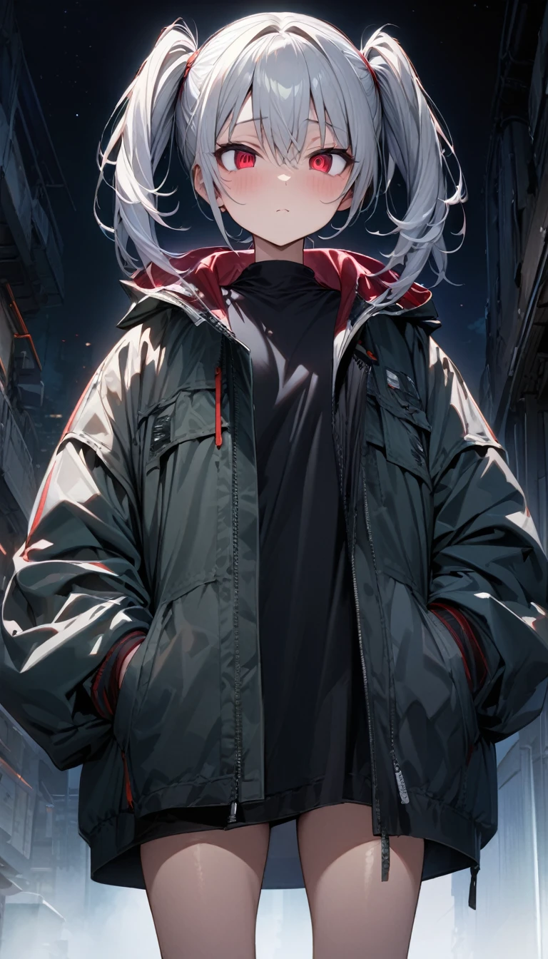 a handsome girl, 20 years old,
silver hair, twintails, red eyes,
oversized jacket, partially wearing a jacket,
standing,
no expression,
night sky,
masterpiece, best quality, ultra detailed,
detailed eyes, cute eyes, slanted eyes,