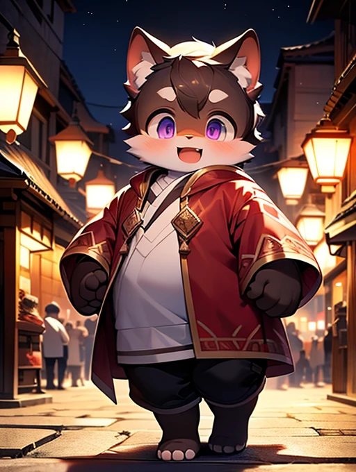 a young chubby boy, a cute black cat, the cat has brown and white fur, the cat has big purple eyes, the boy is blushing and smiling with his mouth open, the boy is wearing a red robe and white underwear, walking at night in an ancient Asian city, bright street lamps, blue-black cobblestone streets, empty streets, starry sky, shadows, extremely detailed facial features, highly accurate hand details, Rembrandt-style lighting and shadows, hyper-detailed