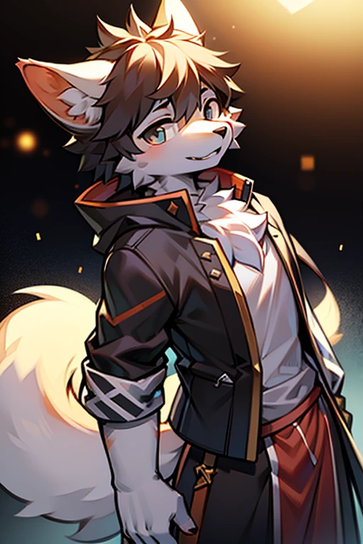 tmasterpiece,eyes with brightness, in a panoramic view, Character focus, solo, Furry male wolf, Off-white fur, Different colored eyes,CasualClothing,Young style,The demeanor is cold,One meter seven height,Particularly handsome, has a tail,BREAK BREAK BREAK,AOEU,vectorial,Line art