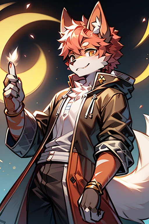 tmasterpiece，eyes with brightness, in a panoramic view, Character focus, solo, Furry male wolf, Off-white fur, Different colored eyes,CasualClothing，Young style，The demeanor is cold,One meter seven height，Particularly handsome, has a tail，BREAK BREAK BREAK，AOEU，vectorial，Line art