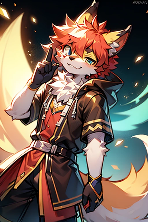 tmasterpiece，eyes with brightness, in a panoramic view, Character focus, solo, Furry male wolf, Off-white fur, Different colored eyes,CasualClothing，Young style，The demeanor is cold,One meter seven height，Particularly handsome, has a tail，BREAK BREAK BREAK，AOEU，vectorial，Line art
