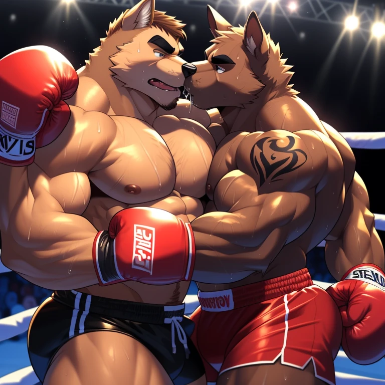 Duo male boxing(Brown Dog vs Brown Dog, handsomes, perfect eyes, Thick eyebrows), gay(cuddling embraced lying down, kissing each other saliva, full body on body, stroking body, in a boxing match), hot(Shirtless), handsomes(They are handsomes, correct anatomy), musculosos(Big muscle bodies, Six packs, muscle abs, big pecs, muscle backs), sweaty(very sweaty wet bodies, shiny sweat), tatuajes(they have tattoos), Angry(They have an angry expression), Boxing gloves(They both are wearing red boxing gloves), boxing shorts(both are wearing boxing shorts), Hight resolution