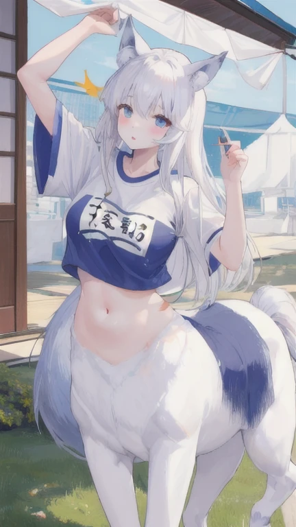 (best quality, masterpiece), 1 girl, centaur, It takes, White skin, racehorse, belly button t-shirt, 아름다운 소녀 perfect wolf photo, perfect wolf photo
