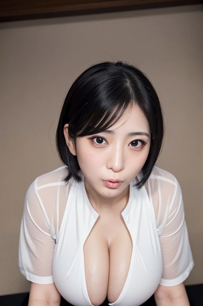 (nsfw:1.2),masterpiece,beautiful face,japanese woman,ultra detailed,(white blouse,),(at office,conference room),,(mature sensual female,seductive,black hair:1.2),38 years old,(tareme:1.2),curvy female,sweaty,beautiful,cround small nose,(woman sucikng penis,pov blowjob:1.2),