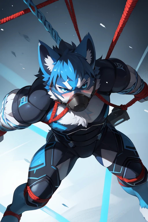 Blue and white wolf,angry,blush,Future Warrior,Black and blue battle suit,Blue eyes,(Tight),Collar,muscle,Half face mask,(Constraints),Red rope tied limbs,captivity,Hanging,Red ropes woven into a giant net。