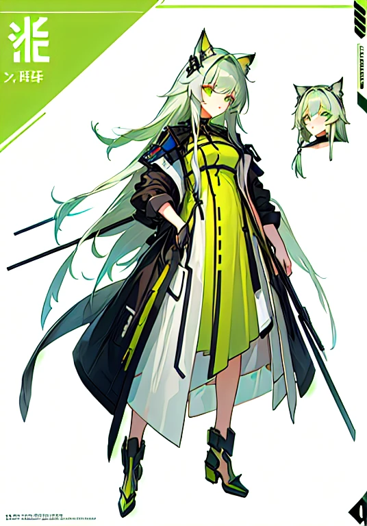 Close-up of a person wearing a green dress with a cat on his shoulder, Villain Anime Girl, Wearing long, loose clothing, a Silver Hair mad, Full body concept, ( ( Character Concept Art ) ), Silver Hairの少女, Clear costume design, Girls Frontline Style, The truth of the matter, From Girls Frontline, Kantai Collection Style,  In a dress, Silver Hair