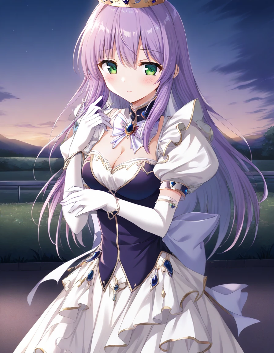 One girl,
Outdoor,
Cowboy Shot,
Twilight,
Break Yoakena, Finafam Earth Light, Green Eyes, Long Hair, Purple Hair,
dress, gloves,Crown, jewelry, Cleavage, Princess,elbow gloves,tiara,brooch,white gloves,
Breaking the masterpiece, highest quality,