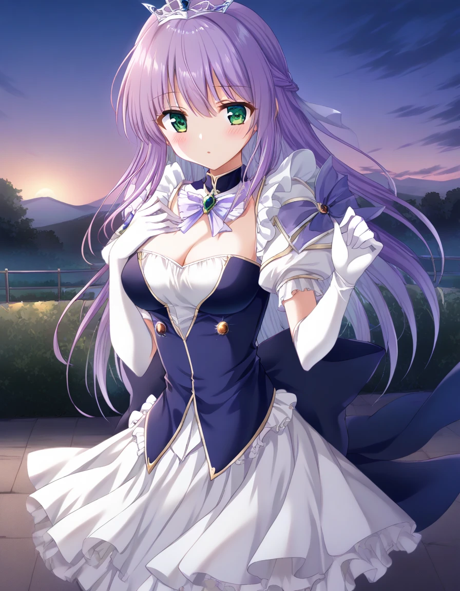 One girl,
Outdoor,
Cowboy Shot,
Twilight,
Break Yoakena, Finafam Earth Light, Green Eyes, Long Hair, Purple Hair,
dress, gloves, jewelry, Cleavage, Princess,elbow gloves,tiara,brooch,white gloves,
Breaking the masterpiece, highest quality,