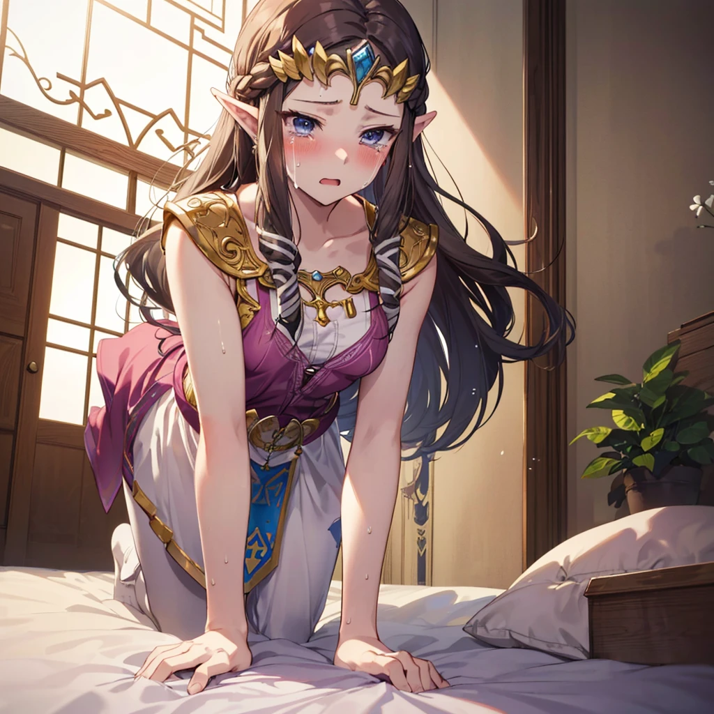 ((boy)),((((boy1人と女の子1人がセックスをしている)))),(((dorsal position))),Princess Zelda, ((highest quality)), (Very detailed) ,Completely naked,beautiful茶色の髪,Princess Zelda, Ticker,(((On all fours))),((Embarrassed look)),Crying face,Blushing,Princess Zelda, ((highest quality)), (Very detailed), ,(((cry))),beauty,beautiful,Princess Zelda, Ticker,Nintendo, The Legend of Zelda
