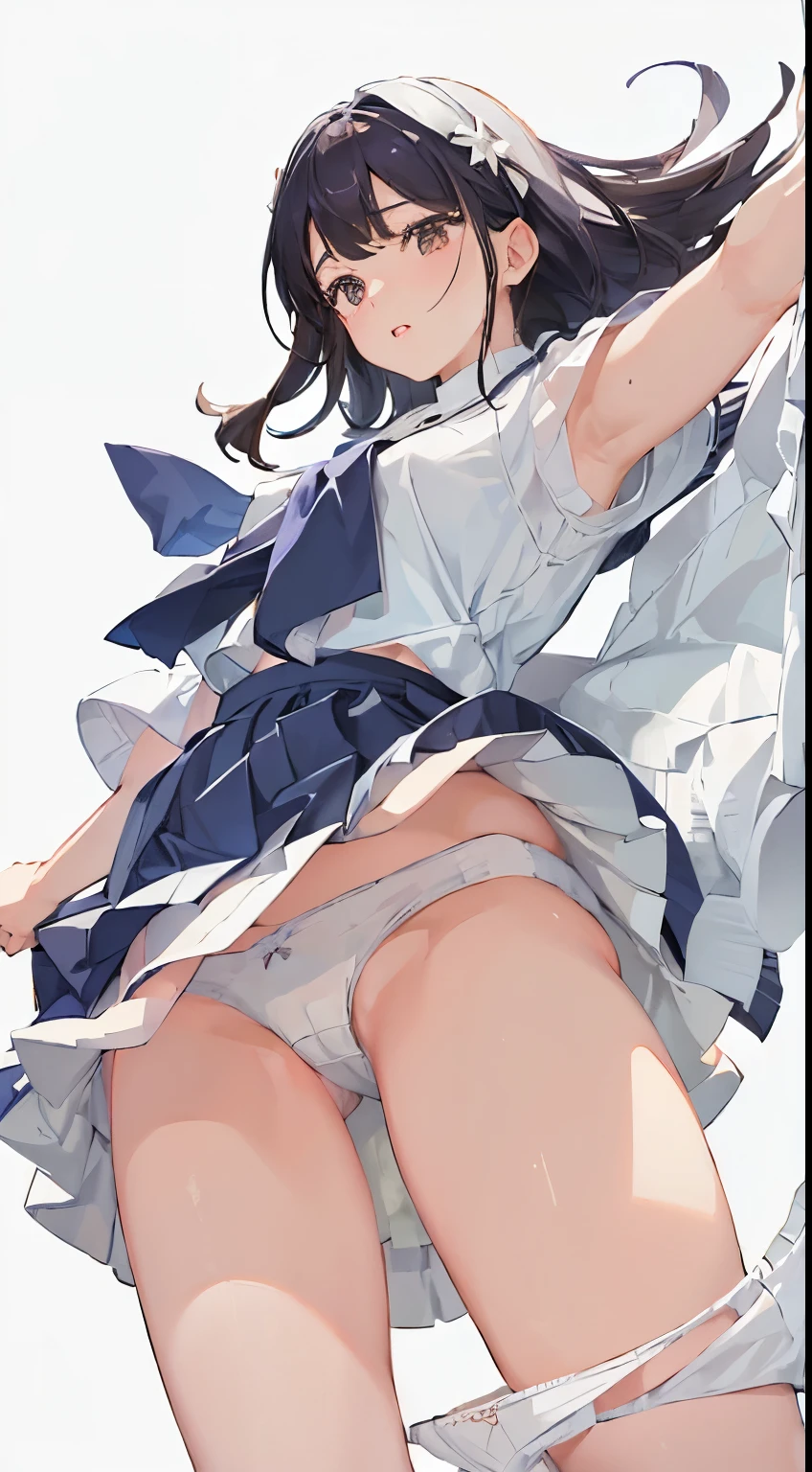 (White cotton panties:1.5), (Wind:1.25), (highest quality:1.0), (masterpiece:1.0), (Ultra-fine illustrations:1.0), Navy Blue Skirt、Pleated skirt、Lined、