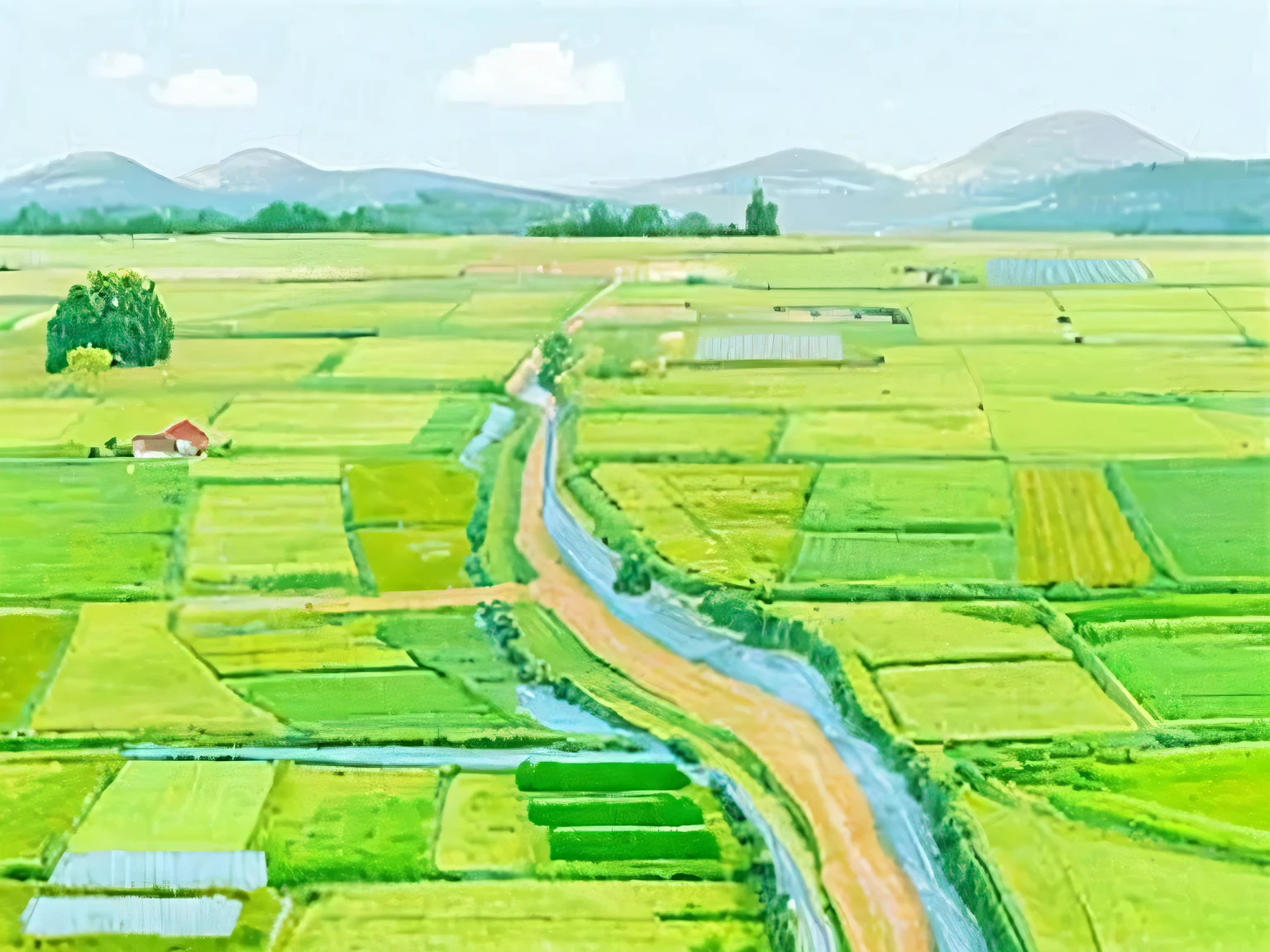 Rural fields
