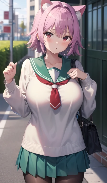 kantaitama, tama, cat ears, cat tail, hair between eyes, purple hair, short hair, (red eyes:1.5), huge breasts, enormous breasts,
BREAK , serafuku, sailor collar, green sailor collar, cardigan, black cardigan, long sleeves, skirt, green skirt, pleated skirt, pantyhose, black pantyhose, Shoulder bag,
BREAK looking at viewer, (blush:1.5),
BREAK outdoor, city street, summer,
BREAK (masterpiece:1.2), best quality, high resolution, unity 8k wallpaper, (illustration:0.8), (beautiful detailed eyes:1.6), extremely detailed face, perfect lighting, extremely detailed CG, (perfect hands, perfect anatomy),