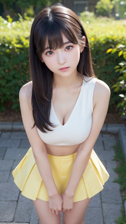 8K、Detailed Description、Very high definition、Realistic、reality的、Real、live-action、reality、High resolution、Nogizaka46、japanese idol,beautiful girl、21 years old、Sleeveless dress、Knee-up-top angle of view、Mouth closed、garden、sunny、Straight Long Hair、Headband、Very black hair、Pastel yellow flared mini skirt、Her skirt is flipped up、Hair blowing in the wind、pretty girl、Beauty、Large Breasts、Glowing Skin、Glowing Skin、Shiny Hair、Very white skin、Heavy makeup、Embarrassed、Shyly、Slit eyes、Big Eyes、Double eyelids、Don&#39;t show your teeth、clear、Bend over and peer at me、Cross your arms behind your hips