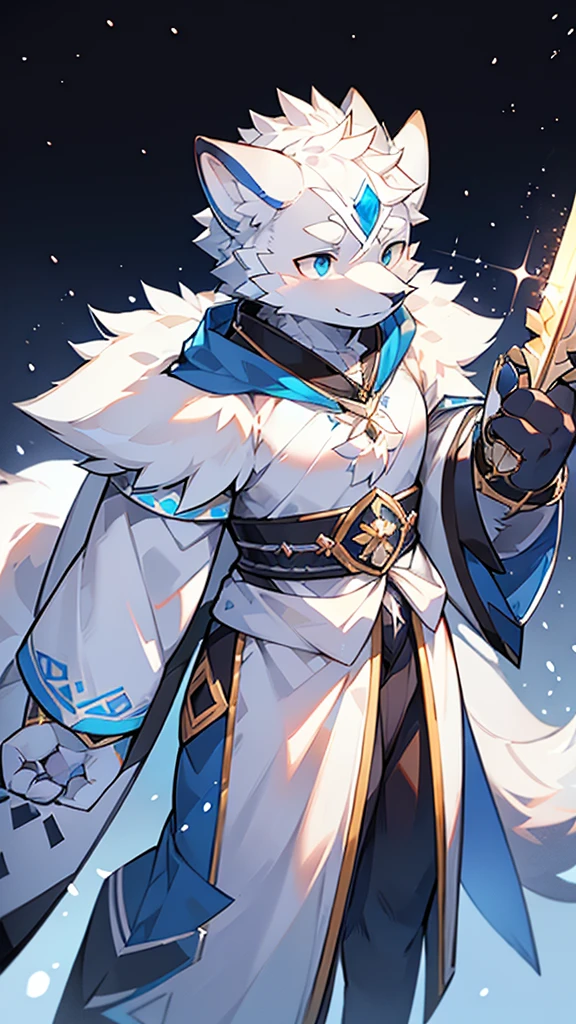Exquisite lines,best quality。White Wolf Orcs,male,Blue and white robes,Black belt,Silver-white cloak,pupil,Background snow,Bright Moon,Starry Sky,Silver sword