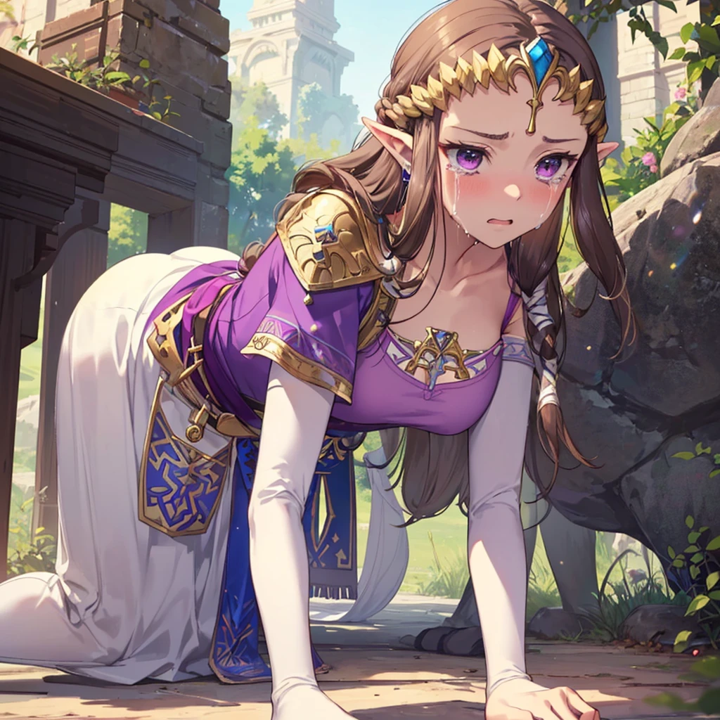 ((side view)),((((A man grabs me by the waist)))),(((()))),((((two shot)))),((((One man and one woman)))),(((dorsal position)))((doogystyle)),Princess Zelda, ((highest quality)), (Very detailed) ,((Purple blouse)),((White tights)),beautiful茶色の髪,Princess Zelda, Ticker,(((On all fours))),((Embarrassed look)),Crying face,Blushing,Princess Zelda, ((highest quality)), (Very detailed), ,(((cry))),beauty,beautiful,Princess Zelda, Ticker,Nintendo, The Legend of Zelda