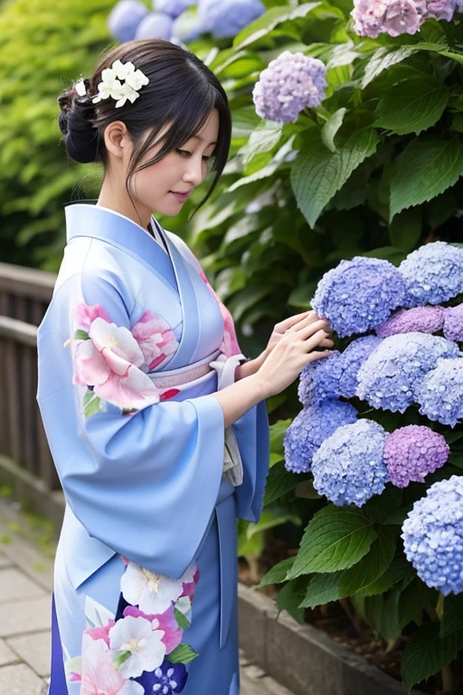 Japanese women、one person、kimono、hydrangea