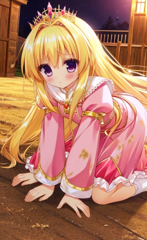 Beautiful long blonde hair　Princess in a pink dress　Gold Tiara　Long sleeve　Embarrassing　Tears overflow from my eyes　　chain leash　collar　viewer holding leash　Face down on all fours　Garden at Night