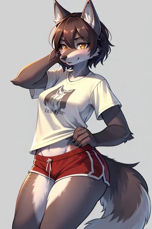 (((Wolf))), woman, ((furry)), masterpiece, with a t-shirt and shorts,