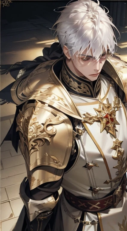 A man, silver hair, gold Eagle knight, fine armor, intricate design, red details, silk, cinematic lighting, 4k, floating hair, sharp, prism, shining knight