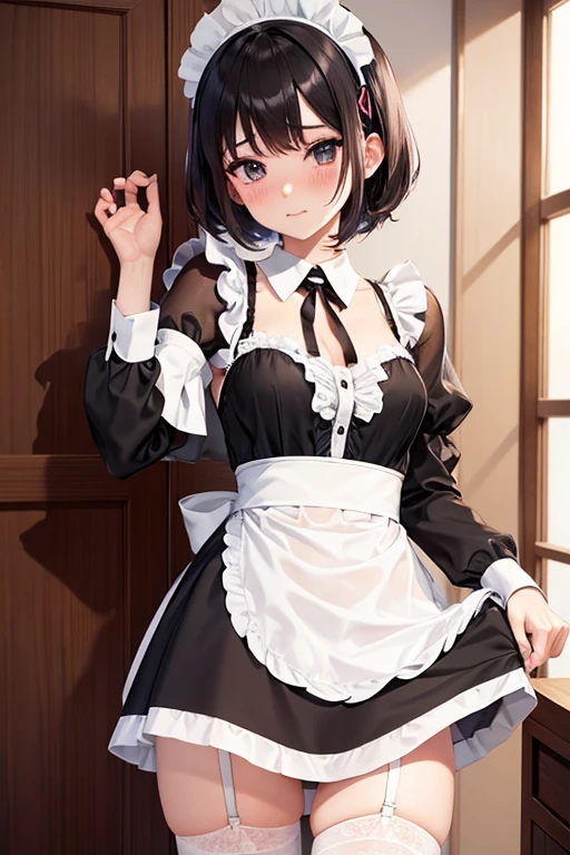 Anime Style,Maid,underwear,See-through,Embarrassed face