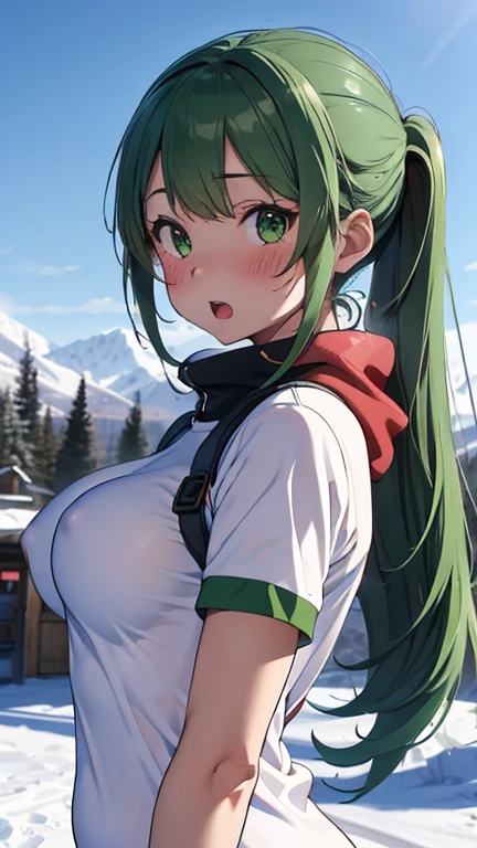 mastute piece,Best Quality,insanely detailed,8k cg,nsfw,
(shoot upper body:1.3),
(1girls:1.3),standing,looking at viewr,body in front,both arms behind back,(Snowboarding Wear),(bare )
break,
blush,shy,(trembling:1.2),(Green Hair:1.4),Twin tail hair、
break,
perfect breasts,perfect teats,(open mouth:0.9),(:1.2),
Ski resort,Slopes，